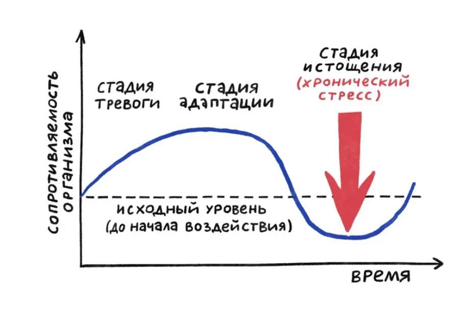Фазы развития синдрома выгорания по Г. Селье